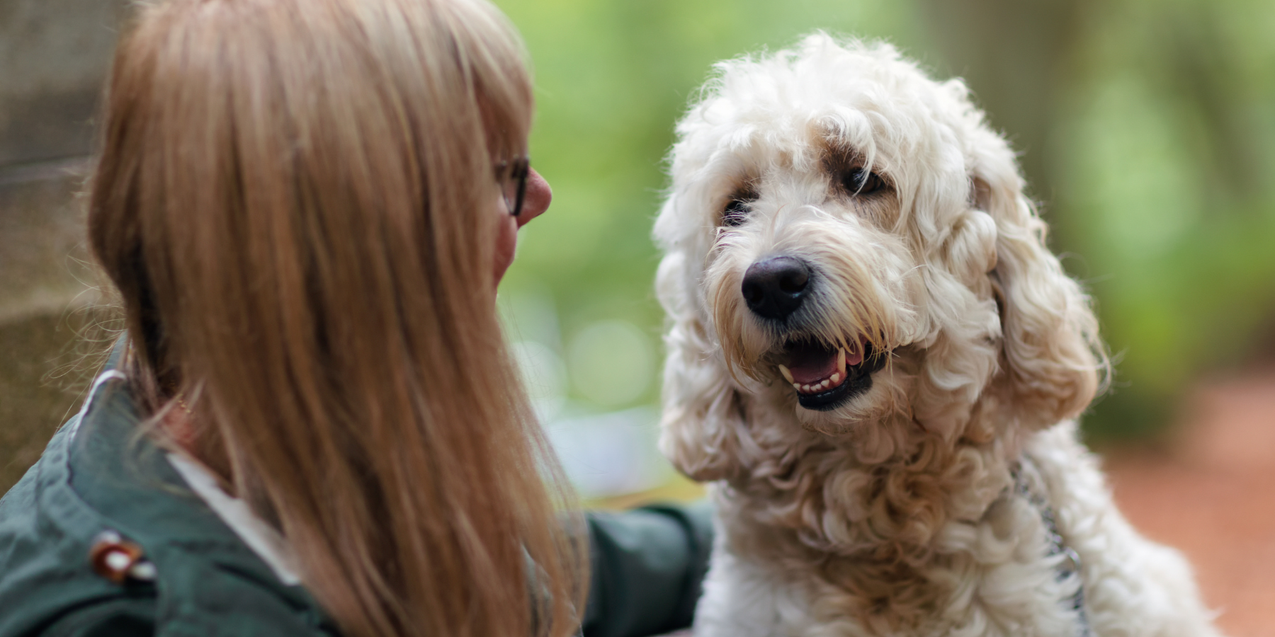 Hundekommunikation erkennen